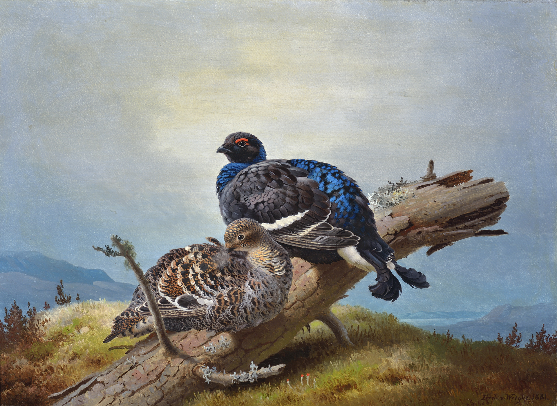 Painting by Ferdinand von Wright depicts finely detailed grouses sitting on a branch in the ground.